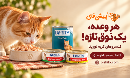 لوریتا