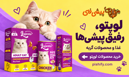 لوپتو