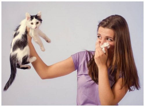 علت بوی بد دهان گربه