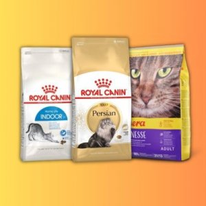غذای خشک گربه بالغ
