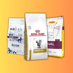 غذای خشک درمانی گربه
