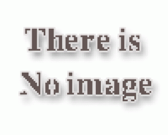 بچه گربه تازه متولد شده